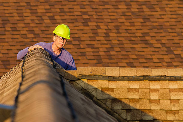 Best Roof Gutter Cleaning  in Fort Oglethorpe, GA